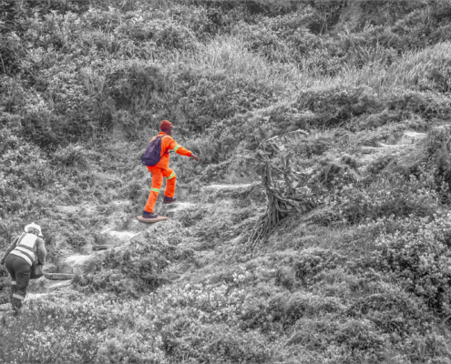Orange man