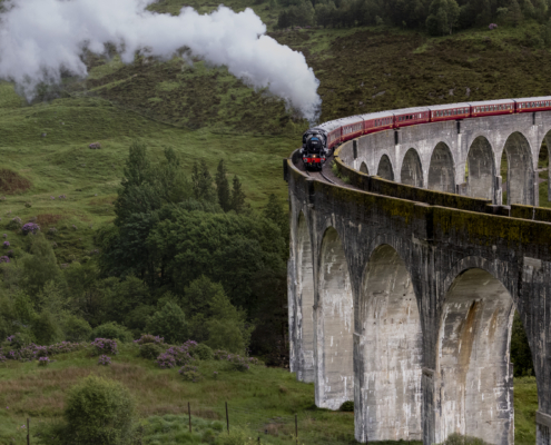 4star-Joan Darcy-12-PI002-2934395-Harry Potter train 2