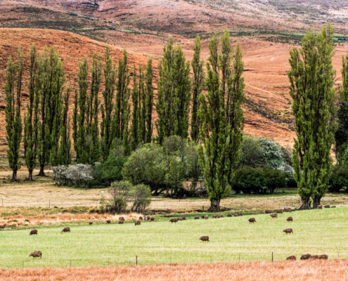 IMG_3943-Edit-Edit