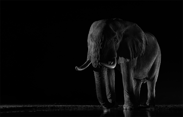 M2 Star – Nerissa Naidoo – ‘Ellie in the Dark’