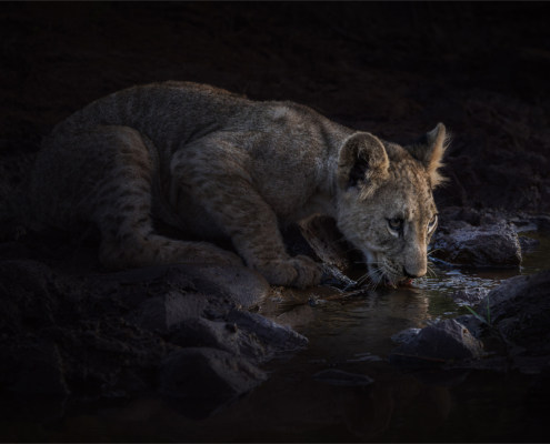 M2 Star - Nerissa Naidoo - 'Quenching My Thirst'